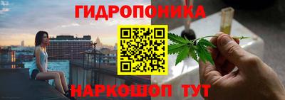 гидра Партизанск